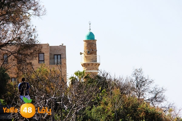 mina2 yaffaj343 (21).JPG